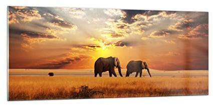 Moderne Impression sur Verre 100x40cm Image Tableau en Verre Decoration Murale Les éléphants Safari jungle buisson Grand Tableaux Decoratifs Muraux Chambre Panoramique Deco Salon Art GAB100x40-3150