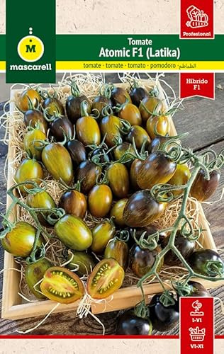 Mascarell Semillas, TOMATE ATOMIC F1, Semillas Huerto, Tomate Cherry de Color Rojo Intenso y Sabor Dulce, Crea tu Propio Huerto Urbano y Cultivo en Casa, Contiene 8 Sem