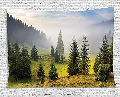 Ambesonne Forest Tapestry, Fir Trees on Meadow Between Hillsides Conifer Woodland in Fog Before Sunrise, Wide Wall Hanging for Bedroom Living Room Dorm, 60 X 40, Gray Green