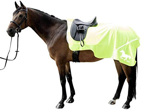 HKM SPORTS EQUIPMENT Warn-Nierendecke, Universalgröße bis 125 cm, M, 3041