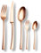 Echtwerk EW-BS-3020B Tafelbesteck Avelino/Shiny-Bronze Edition, 30-teilig, für 6 Personen, Edelstahl 18/10-hochglänzend, Hochwertiges Besteck Set, inkl. Aufbewahrungs-Kassette, 18/10 Stahl