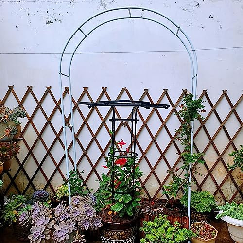 Arche de rose en métal pour jardin, arche de jardin pour légumes et courges, décoration de serre, blanc, 240 x 220 x