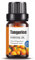 Naturreine Ätherische Öle - 100% Bio Qualität | Entdecken Sie die Vielfalt der Naturdüfte | Für Aromatherapie, Aromadiffuser, Massage und Badezusatz | für Körper und Geist | 10ml - Mandarine
