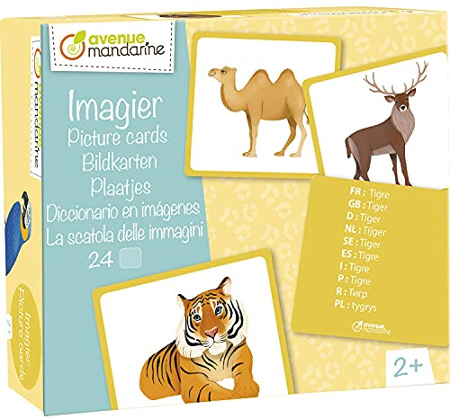 MY MANDARINE JE528C - un jeu éducatif de 24 cartes multilingues (10 langues) - À partir de 2 ans - IMAGIER Animaux sauvages