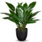 Briful Künstliche Pflanze Wie Echt Kunstpflanze Dekopflanze Calathea Buschig mit 22 Blättern im Kunststofftopf Zimmerpflanze, Höhe 43cm, Grün