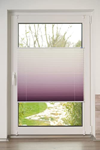 K-home Plissee Farbverlauf, Polyester, Bordeaux, B55 x H210 cm