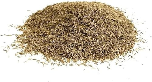 Shady Area Lawn 100g Seed Grass Shade (Covers 2 Square metres) SLMH