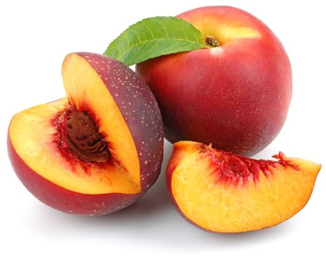 Nectarine Tree, 'Lord Napier' 1 x Tall Plant in a 10 Litre Pot, 1.2-1.4m Tall, Nectarines, Garden Ready and Ready to Plant, Premium Quality Fruit Trees