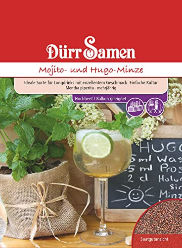 Mojito Hugo Minze Samen Minzsamen ca 50 Korn Heilkräuter Kräutersamen Heilpflanze Longdrinks Saatgut Balkon Garten Hochbeet Kübel Dürr Samen