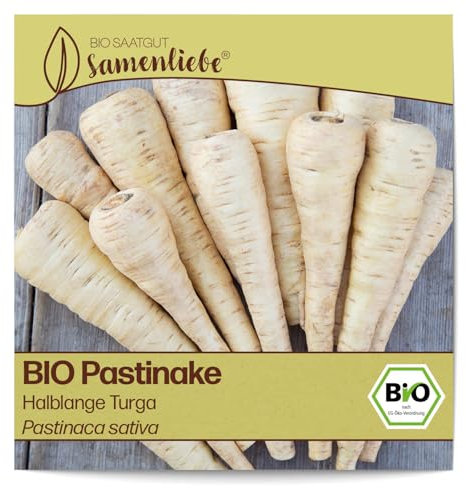 Samenliebe BIO Pastinaken Samen alte Sorte Halblange Turga nussig süßliches Wintergemüse Wurzelgemüse weiß gelb 200 Samen samenfestes Gemüse Saatgut für Gewächshaus Freiland und Balkon winterhart