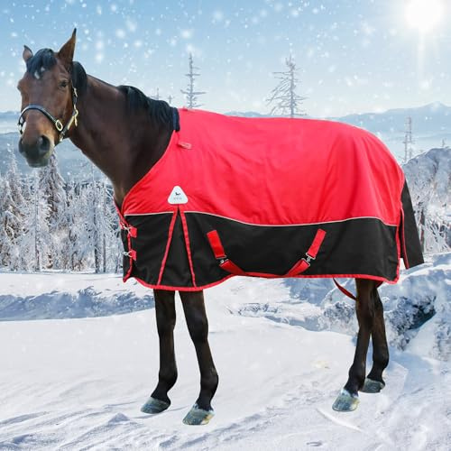 Couverture d'hiver 1600D de qualité supérieure pour soins du cheval - Couverture imperméable de poids moyen avec housse de cou amovible (135 cm) sans housse