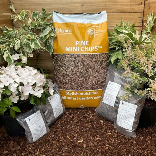 Hortus Planta Melcourt Pine Mini Chips - Stylish Bark Mulch 5L Pack