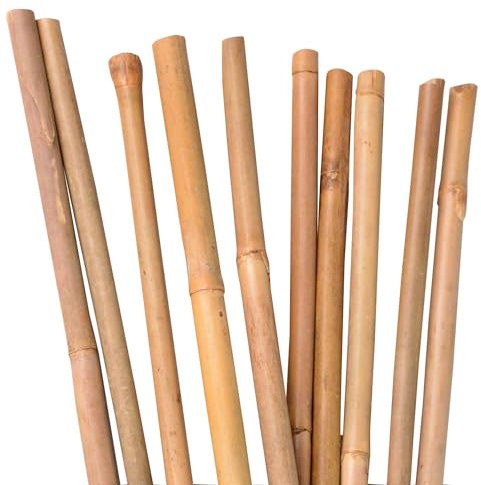 UNUS Lot de 25 tuteurs en bambou naturel 105 cm