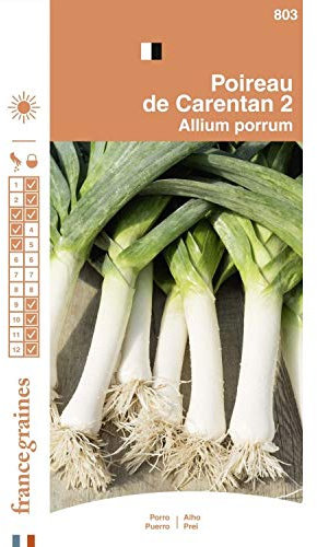 France Graines - Poireau de Carentan