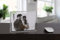 MASCAGNI - Cadre photo acrylique avec aimants - 15,5x20,5 - Taille photo 13x18 - Rectangle