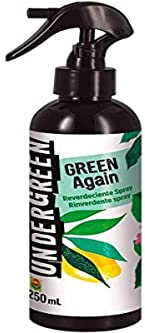 Undergreen GREEN Again, Rinverdente Spray, Soluzione liquida contro le foglie gialle, Per piante da interno e da balcone, 250 ml