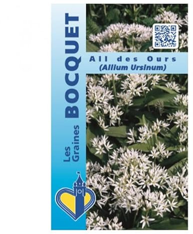 Sachet de graines d'Ail Des Ours - Allium Ursinum - 0,50g - Les Graines Bocquet