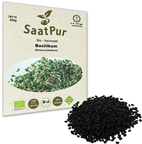 250 g BIO Keimsprossen Basilikum Basilikumsamen für die Sprossenzucht Superfood Mikrogrün Grünkraut