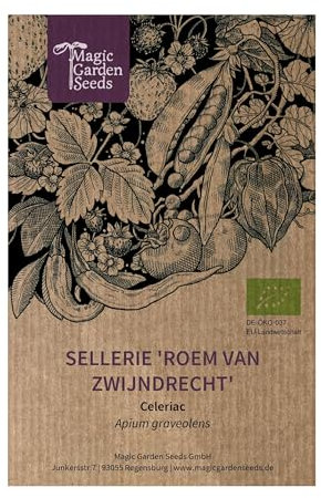 Sedano rapa 'Roem van Zwijndrecht' (Apium graveolens) bio