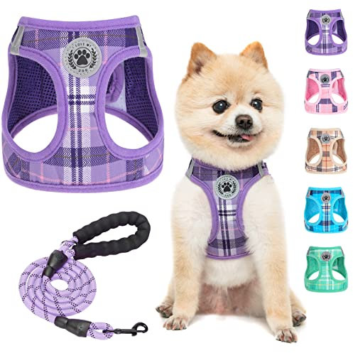 BEAUTYZOO Kleines Hundegeschirr und Leine,Step in No Chock No Pull Soft Mesh Hundegeschirr, reflektierend für XS/kleine, mittelgroße Welpen, kariertes Hundegeschirr für XS S Haustiere (lila, XS)