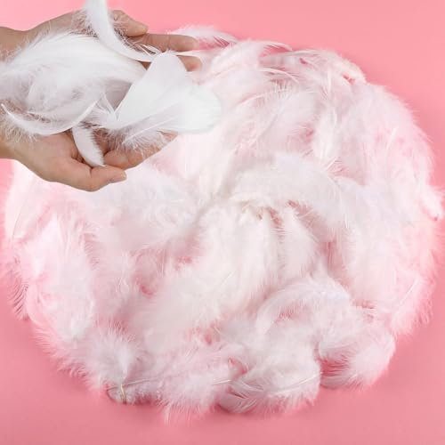 agogue 300 Stück Weiße Bastelfedern (4-8 cm), Federn Zum Basteln Flauschige Natürliche Weiße Federn für Engelsflügel, Deko und DIY Flügelfedern Handwerk Material