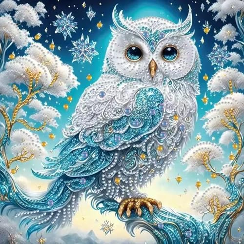 Kit Diamond Painting 5D con Gufetto, Pittura Diamante Fai da Te, Disegni con Diamantini Colorati, Decorazione Murale per Casa e Pareti, Hobby Creativo per Adulti e Bambini, Regalo Creativa (30x30 cm)