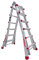 BTF Escalera telescópica articulada plegable profesional de aluminio 6+5 Peldaños, Carga máxima 150 kg, Hecho en Europa (4x6). BTF-TS66
