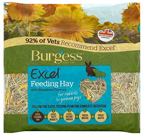 Burgess Excel Feeding Hay with Meadow Flowers, 500g