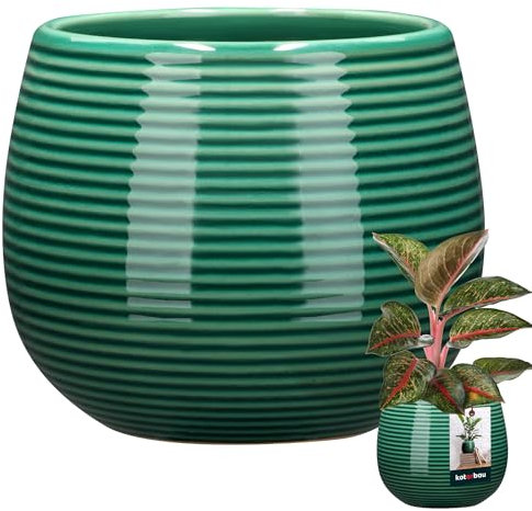 KOTARBAU® Blumentopf Türkisfarben Keramik Rund ⌀ 12 cm Höhe 14 cm Glasiert 1 St. Groß Übertopf Pflanztopf Pflanzkübel