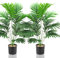 Lighterday Juego de 2 plantas artificiales de 80 cm, plantas artificiales decorativas de interior, plantas altas de plástico para oficina, hogar, decoración interior y exterior (2 macetas de palma