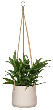 Finestgreen Hängendes Pflanzgefäß Patt Grau | Hängender Blumentopf zum bepflanzen | Urban Gardening Pflanzenampel | Pottery Pots