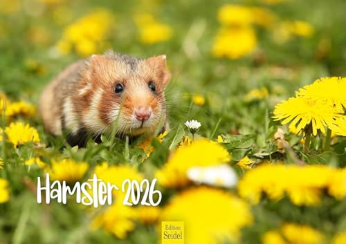 Edition Seidel Calendario premium para hámster 2026, formato DIN A3, calendario de pared, calendario de animales, mamíferos, mascotas, roedores, roedores