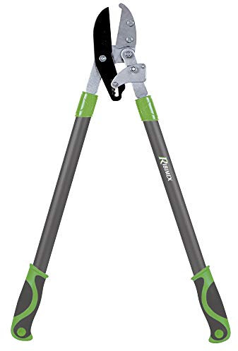 Coupe-branche à enclume démultipliée