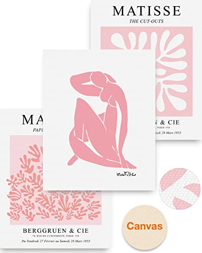 HesenDot Matisse Art wall Décor Set of 3,Unframed Blush & Salmon Pink wall art,Truly Quality Canvas Prints for 12x16in,Art poster decoration for kitchen, bathroom,living room,bedroom