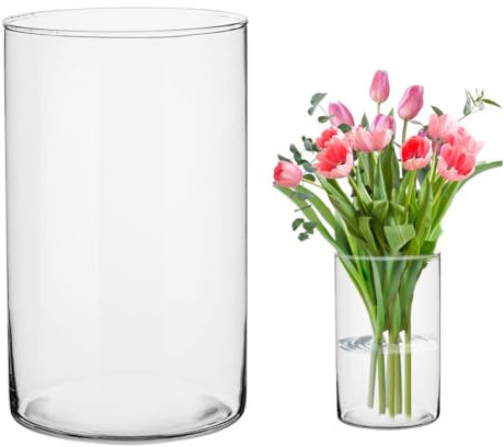 Yuraigm Grand vase à fleurs en verre transparent, 20 cm de haut, rond, rond, vase de sol, décoratif, cylindrique, pour herbe de la pampa, roses, tulipes, décoration de table de mariage, bougie