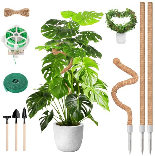 BELICOO Poste de musgo, 3 unidades, 2 x 120 cm/60 cm (119.4 cm/61.0 cm), soporte flexible para plantas, poste de musgo para Monstera, con herramientas de jardinería, cordel, velcro y lazos de 20 m,