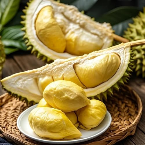 semi freschi di durian - durian - semi di varietà antiche da colonnari di sapote, resistenti 15pcs