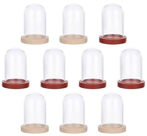 NBEADS 10 Sets Mini Eternal Flower Glass Dome Cloche, Clear Glass Display Case with 2 Colors Wooden Base Bell Jar Cloche for Centerpieces Plants Rocks Specimens Decorations Crafts, 3.9x2.5 cm