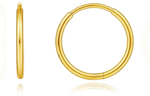 Limerencia Titanium Hoop Earrings for Women,G23 Implant Grade Pure Titanium