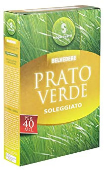 Semi Prato Resistenti per Terreno Soleggiato e Buona resistenza, Sementi da Giardino ad alta Germinabilità, Semi per Insediamento Facile, Resistente al Calpestio, Manutenzione Economica, 40 Mq