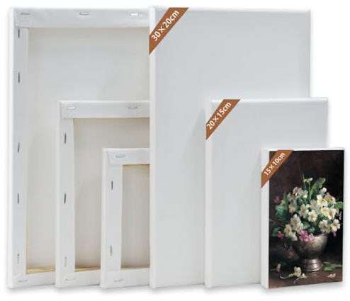 6 PcsToile Peinture, Toile a Peindre en Coton, Toiles à Peindre, Toile Blanche pré-étirées pour Peintures Acryliques Peinture à l'Huile Artisans Artiste Panneau, 30x20 20x15 15x10cm