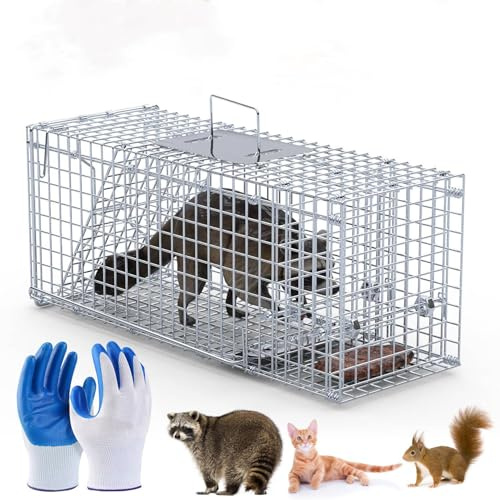 Live Humane Animal Trap Cage Cat Trap Folding Catch and Release for Raccoons Opossums Skunks Feral Cats Squirrels Rabbit 25.59Inch