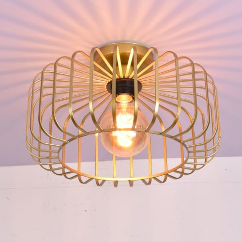 Gokoly Satin Gold Ceiling Light Fixture, Industrial Cage Flush Mount Ceiling Lamp E27 Metal Shade Ceiling Lights for Living Room Bedroom Dining Room Kitchen Hallway Lounge
