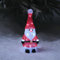 Lights4fun Babbo Natale Luminoso in Acrilico da 30 cm con 20 LED Bianco e Timer Figura di Natale Decorazione Natalizia per Interni ed Esterni