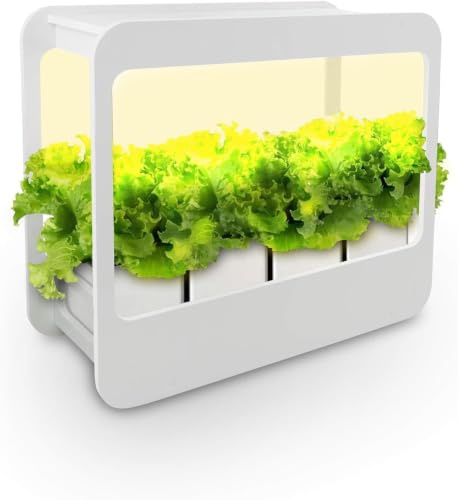 Nutriluce Mini Serra da Interno con Luci LED e Timer Automatico, Ideale Coltivazione Indoor di Piante Aromatiche e Piccoli Ortaggi, Serra Orto Intelligente, Idea Regalo Green (Miniserra+Vasi e Semi)
