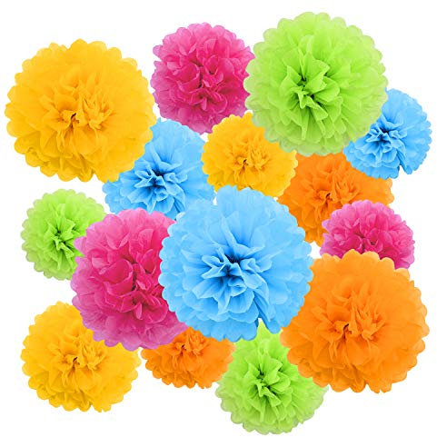 Livder Paper Flowers Bright Colorful Tissue Paper Pom Poms for Party Birthday Wedding Christmas Festive Decorations, 15 Pieces of 10, 12, 14 Inch