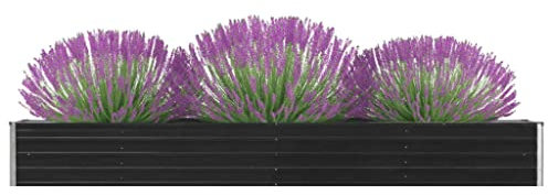 YITHOPI Letto Rialzato,Fioriera da esterno Fioriere rettangolari Fioriere da balcone Adatto per esterni, balcone, giardino, campagna in Acciaio Zincato 320x40x45 cm Antracite