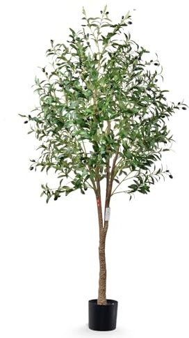 Leflos 180cm Olivo Revuelto Realista para Interior, sólo para Interior con Tronco Vivo, Ramas Ajustables y Aceitunas gordas, 1 Pieza