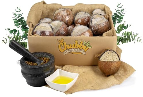 Chubby Quarter Cut Filled Coconut (12 x), Coconut Halve Wild Bird Feed with Insect oil, Coconuts Shell Suet Birds Food, Protein Rich Suet for Blackbirds, Woodpeckers, Starlings & Sparrows