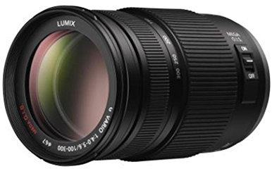 Panasonic H-FS100300E LUMIX G Vario Telezoom 100-300 mm F4.0-5.6 Objektiv (200-600 mm KB, O.I.S. Bildstabilisator) schwarz